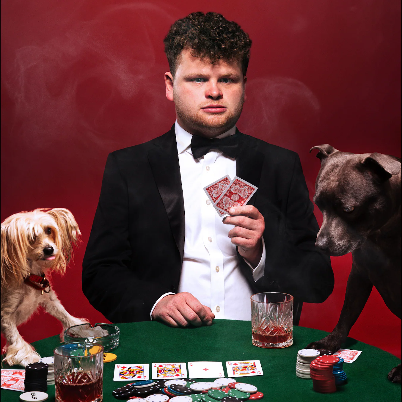 Dan Tiernan New Stand up Comedy Tour – Thursday 4th February 2027 - Image 2